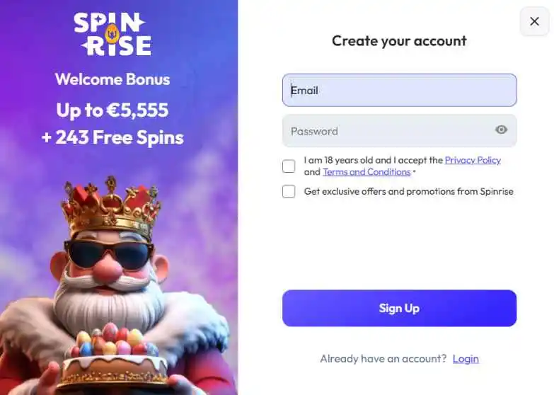 spinrise registration